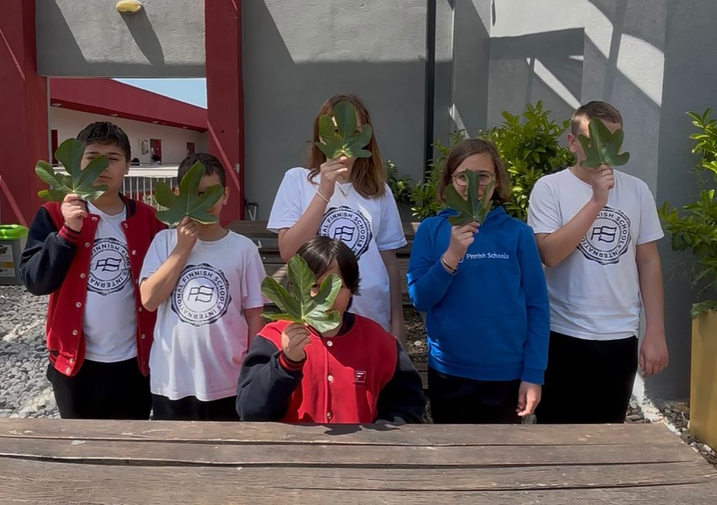 `3P4 Forests` eTwinning Projemiz